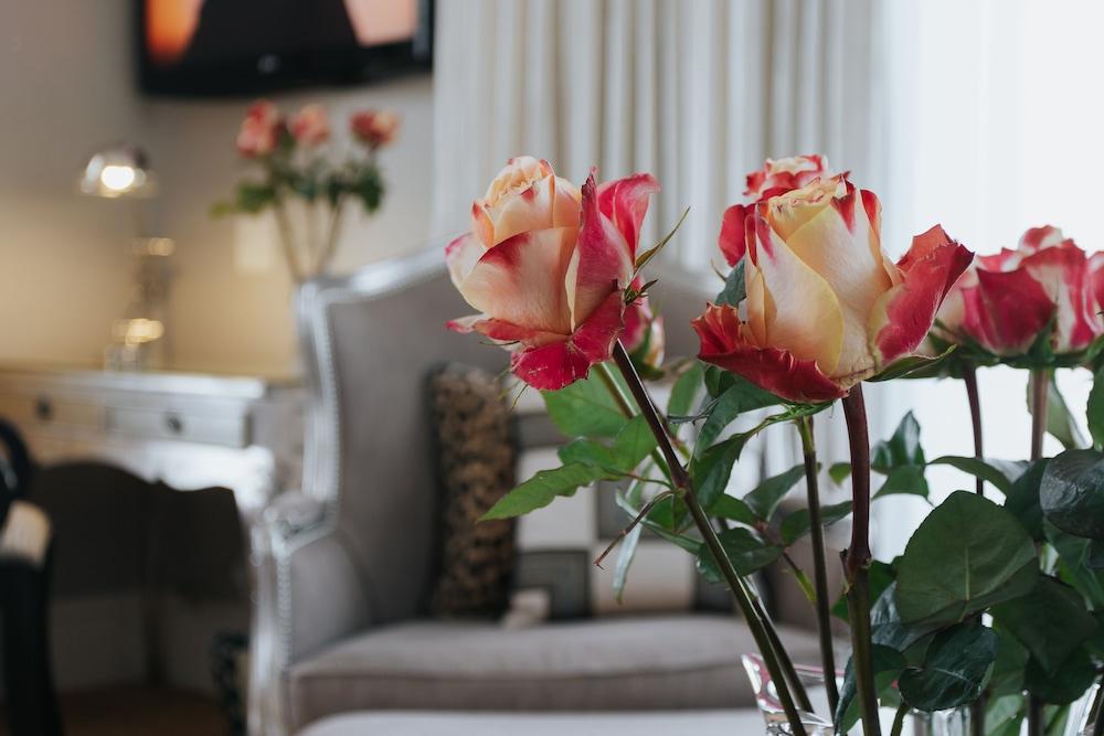 The Light House Boutique Suites Парл Экстерьер фото