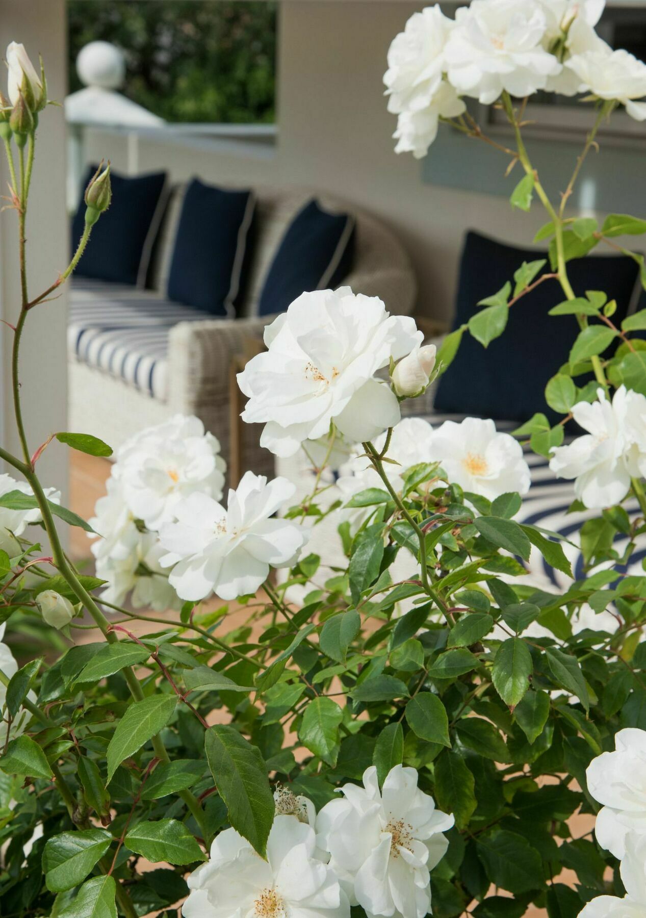 The Light House Boutique Suites Парл Экстерьер фото
